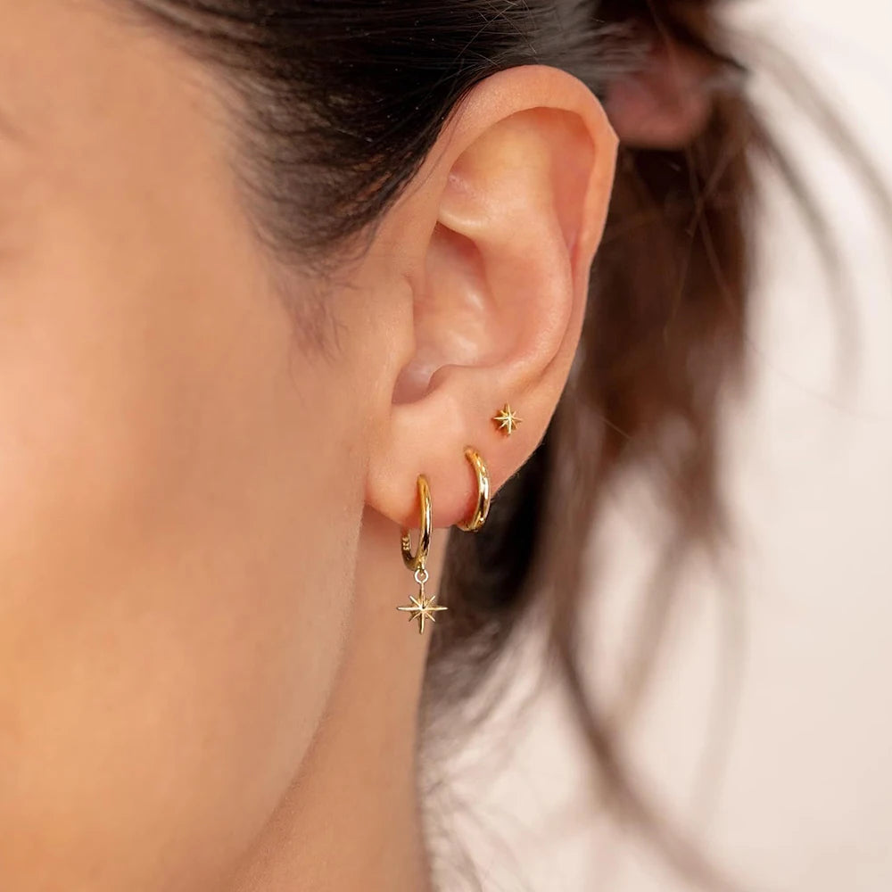Stainless Steel Round Star Drop Earrings