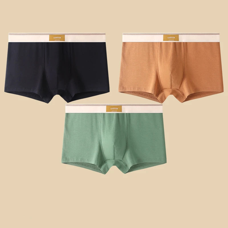 3-Piece Men's Breathable Cotton Boxer Shorts