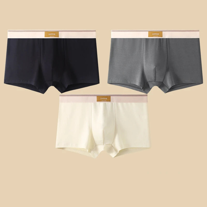 3-Piece Men's Breathable Cotton Boxer Shorts