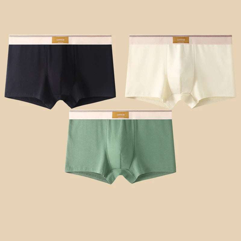 3-Piece Men's Breathable Cotton Boxer Shorts