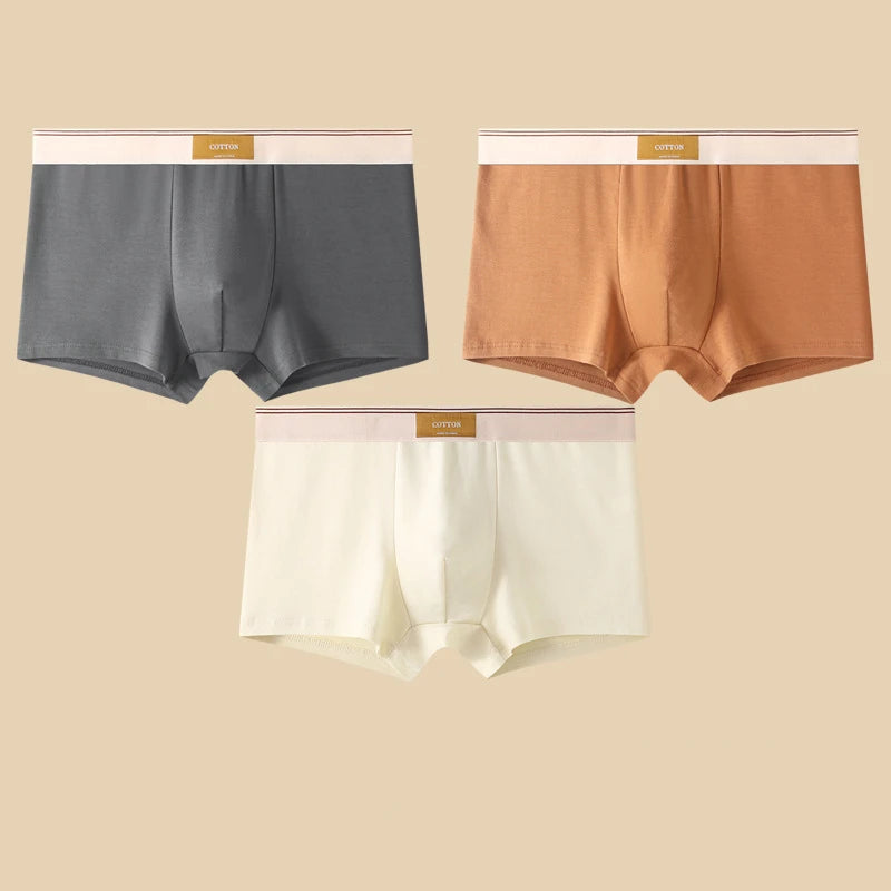3-Piece Men's Breathable Cotton Boxer Shorts