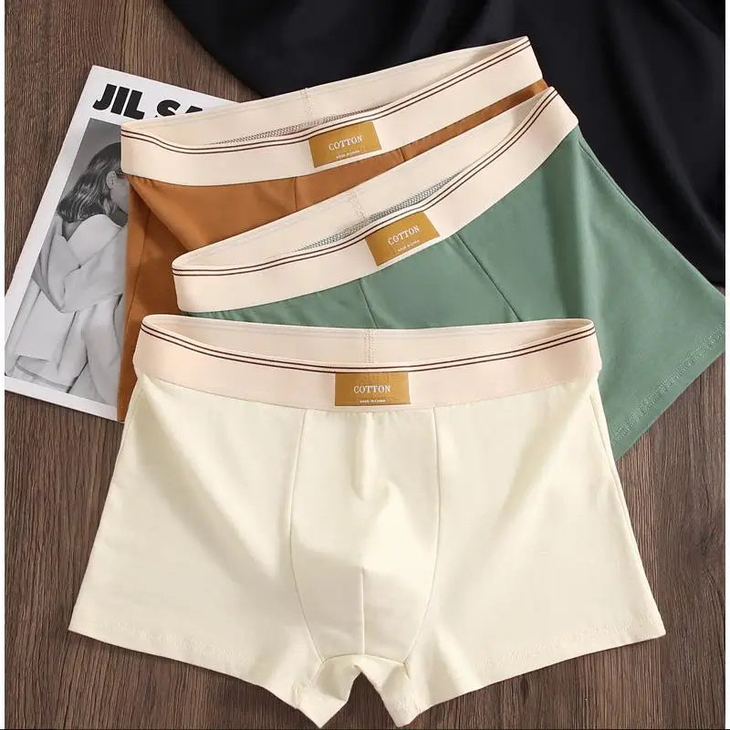 3-Piece Men's Breathable Cotton Boxer Shorts