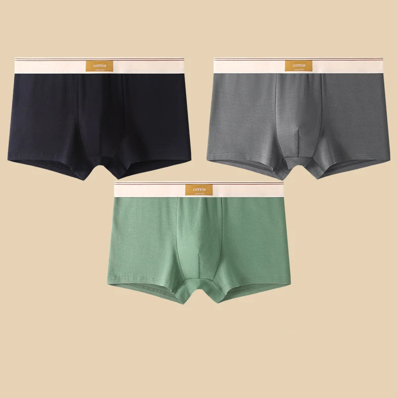 3-Piece Men's Breathable Cotton Boxer Shorts