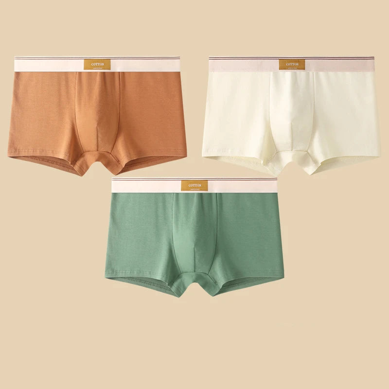 3-Piece Men's Breathable Cotton Boxer Shorts