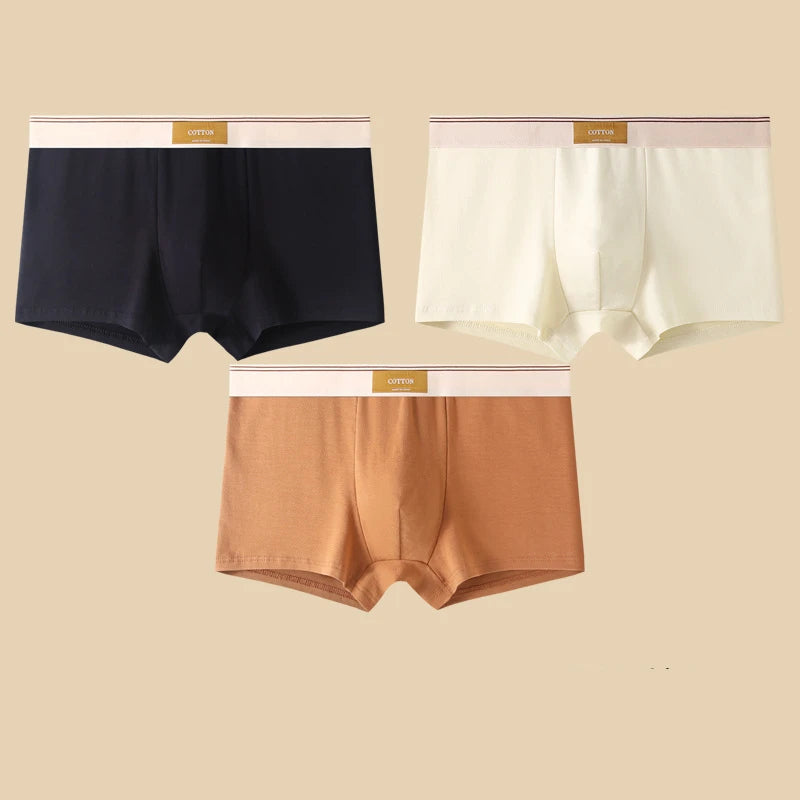 3-Piece Men's Breathable Cotton Boxer Shorts