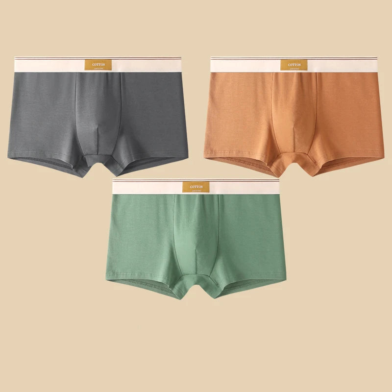 3-Piece Men's Breathable Cotton Boxer Shorts
