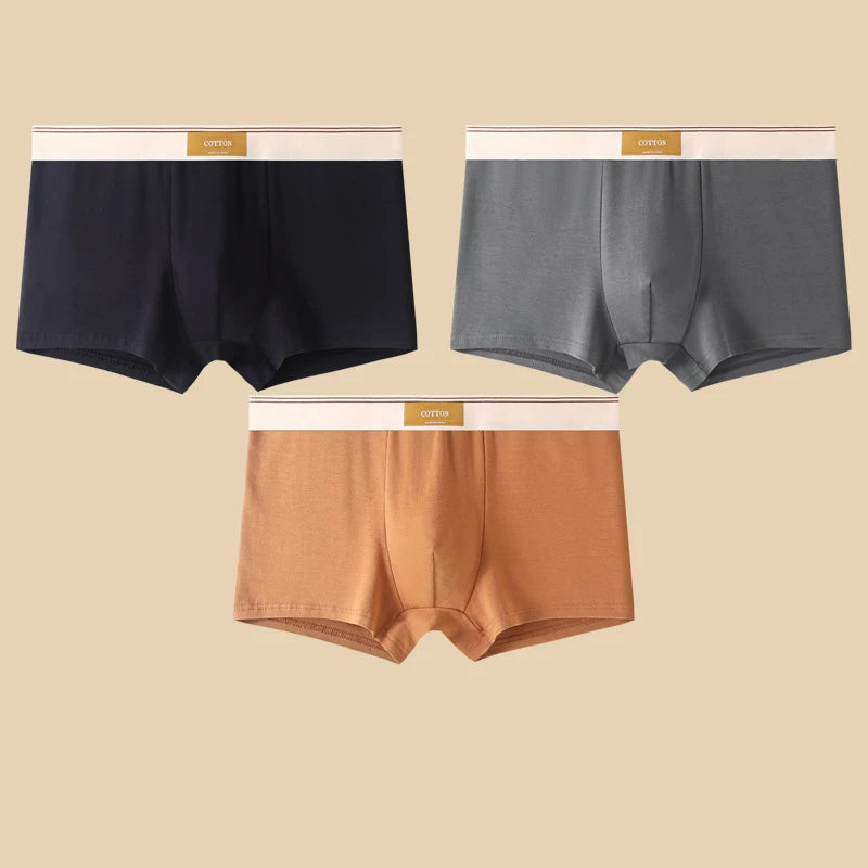 3-Piece Men's Breathable Cotton Boxer Shorts
