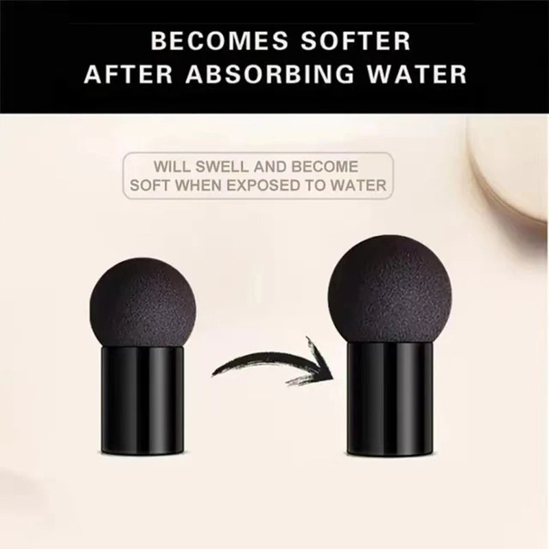 Mushroom Head Air Cushion CC Cream Foundation