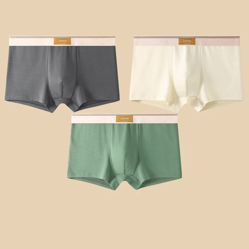 3-Piece Men's Breathable Cotton Boxer Shorts
