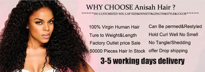 Glueless Lace Front Wigs Human Hair Ombre Blue Colored Wig for Women 13x4 HD Transparent Lace Frontal Wig PrePlucked